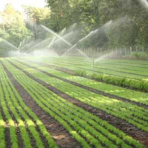 Sprinkler Irrigation System